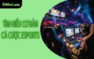 Tìm Hiểu Cơ Bản Cá Cược Esports