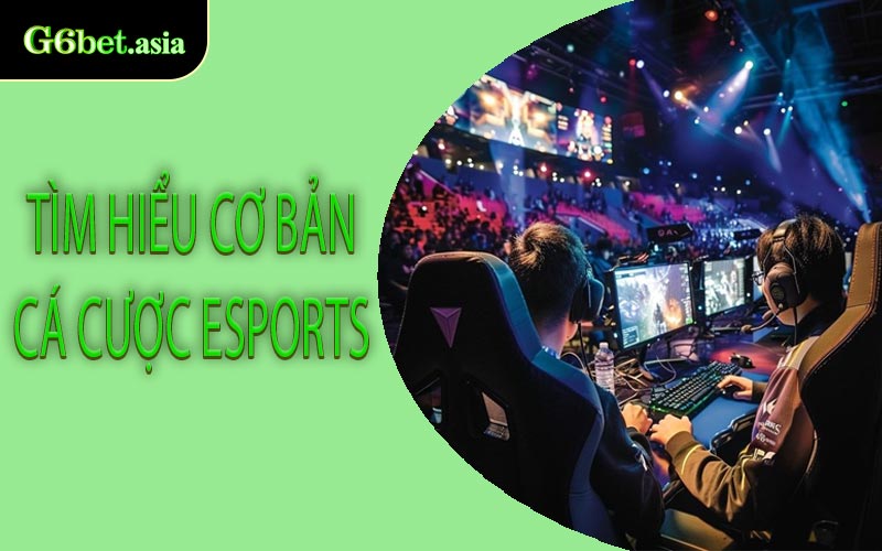 Tìm Hiểu Cơ Bản Cá Cược Esports