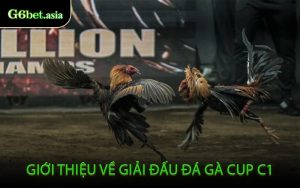 Giới Thiệu Về Giải Đấu Đá Gà Cup C1